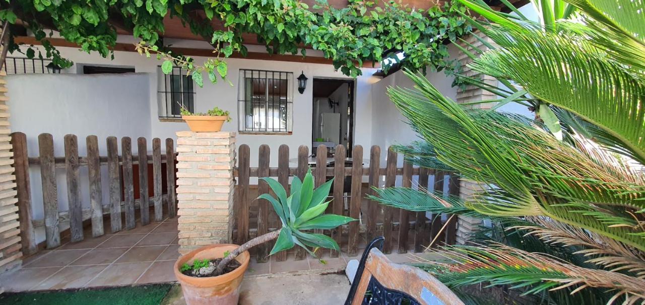 Estudios Con Piscina Compartida En Conil. Cádis Exterior foto